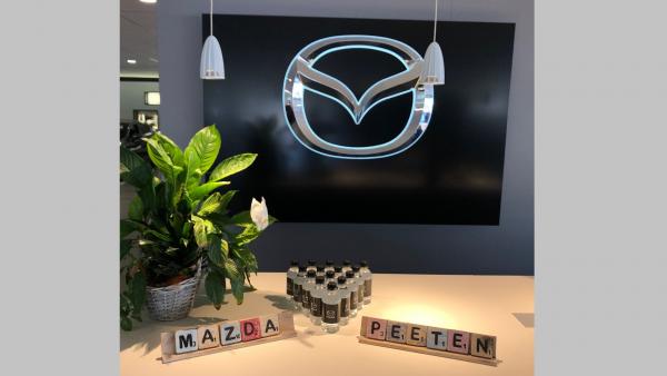Mazda-Peeten-Blokken